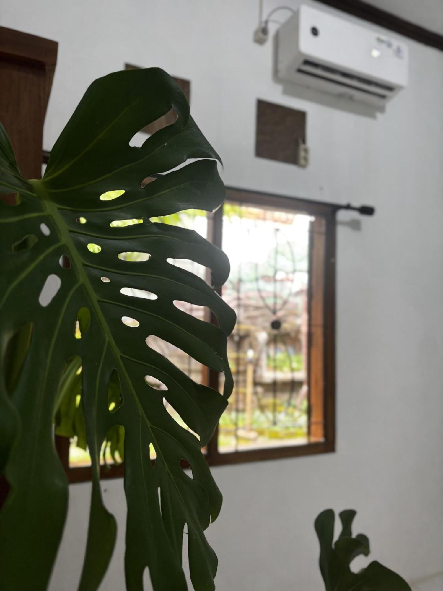 Zzz Hostel Ijen Banyuwangi  Dış mekan fotoğraf