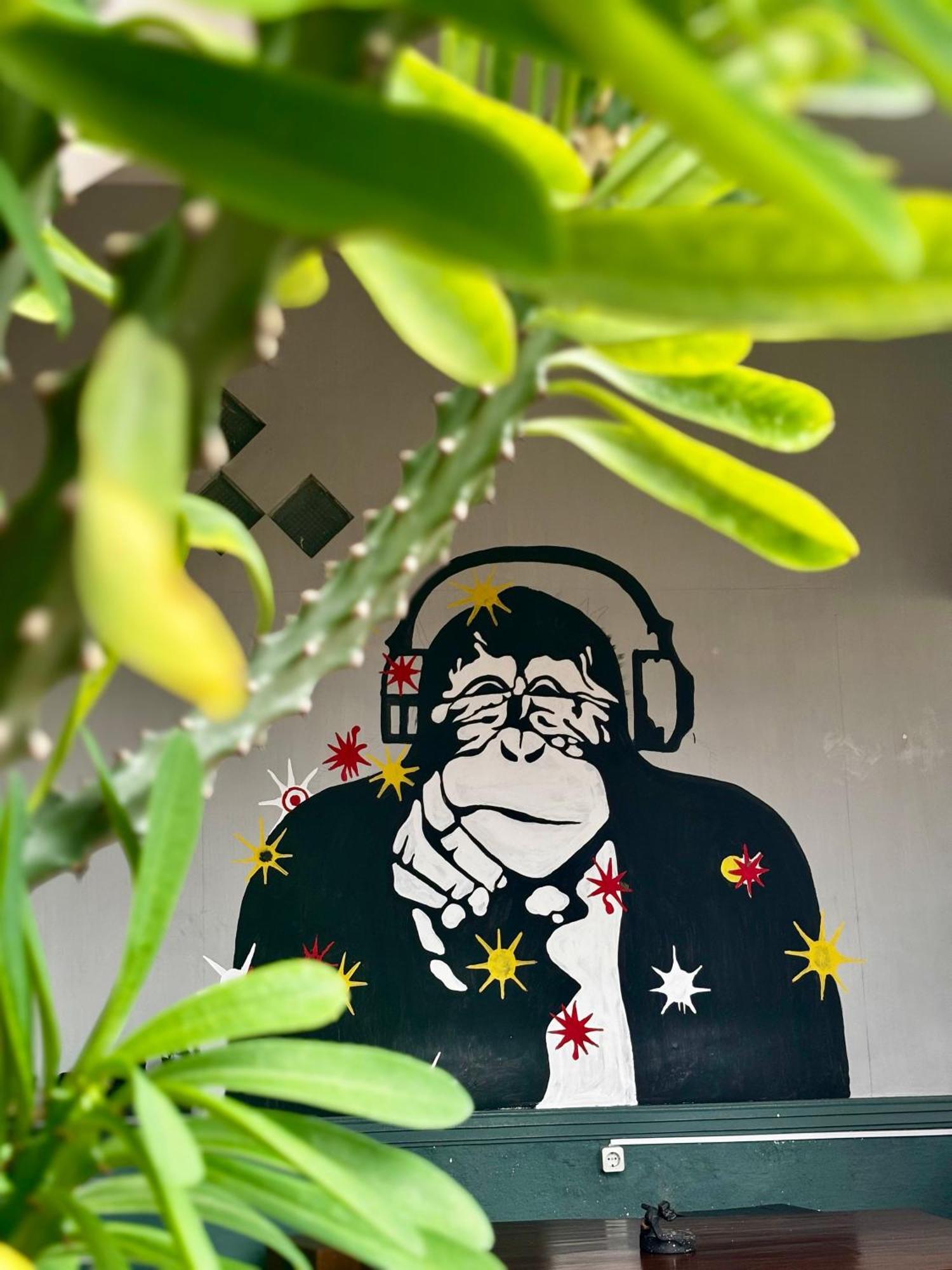 Zzz Hostel Ijen Banyuwangi  Dış mekan fotoğraf