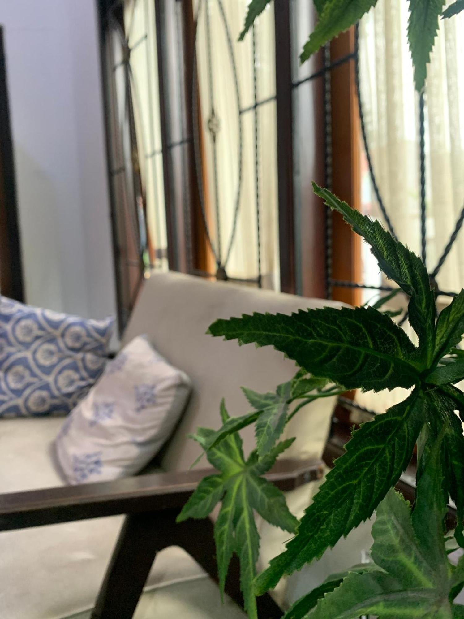 Zzz Hostel Ijen Banyuwangi  Dış mekan fotoğraf